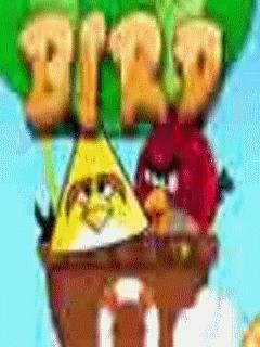 Angry Birds Rock Bird