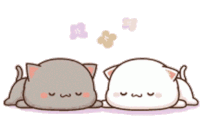 With-you