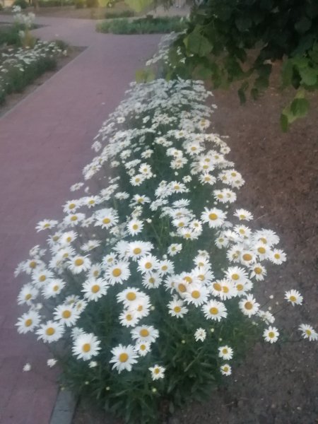 IMG 20240603 203844