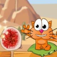 Cat around Africa 4