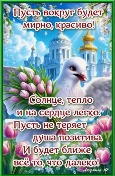 IMG 20260502 234535