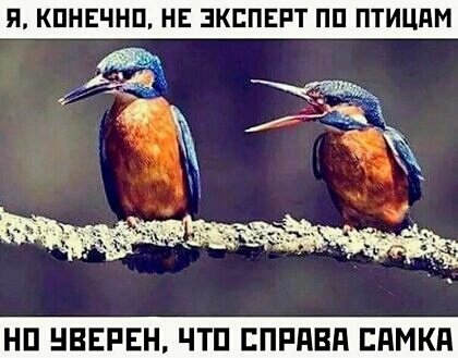 file_78639106