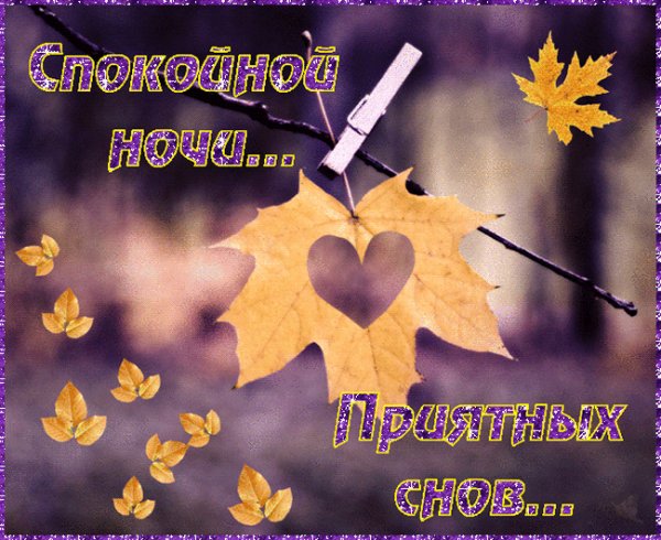 Спокойной ночи!