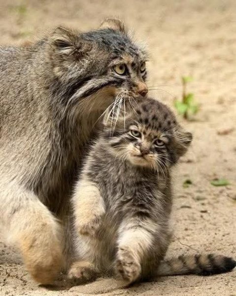 FB IMG 1754124225907