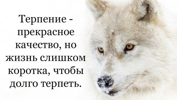 Терпение