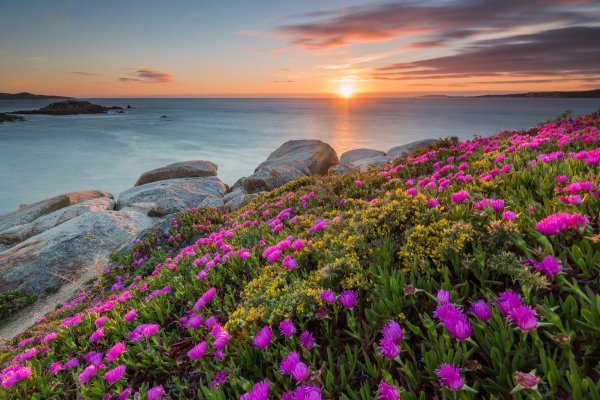 Ispaniia-more-tsvety-rozovye-bereg-nebo-zakat-rassvet-kamni