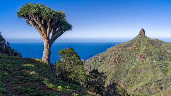 Lock2024-b50 wl anagacanaryislands estockphoto 1920x1080