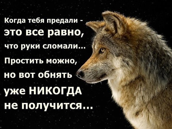 image (10)