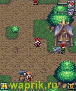 Elven Chronicles RUS (waprik ru)