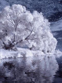file_62889896