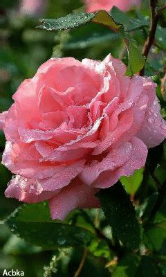 file_58683807