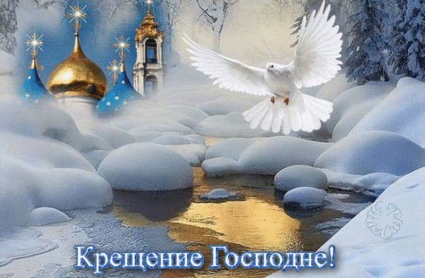 IMG 20170119 000646 0