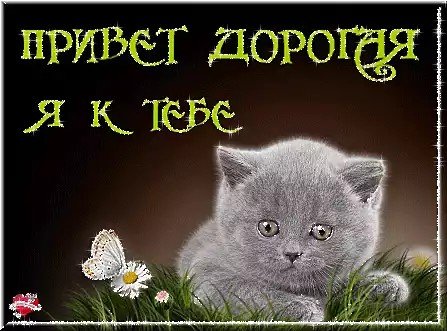 Привет дорогая