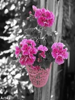 file_58205600