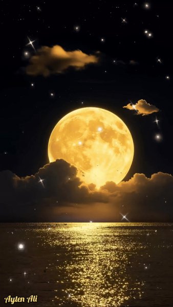 C470e8a61285a02db8cdbe6bcfbb319e