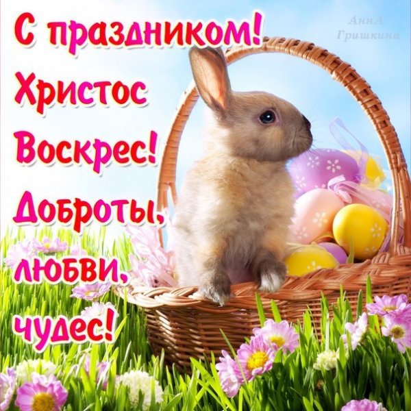 file_84185913