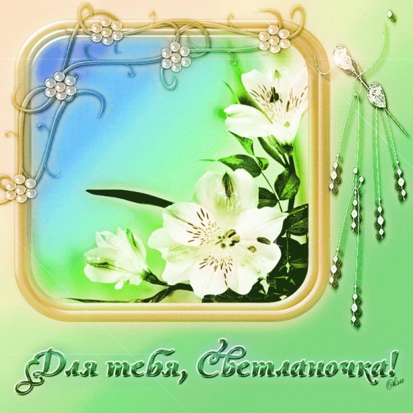 0 6ac7f a705c6c2 GIF-2-XL