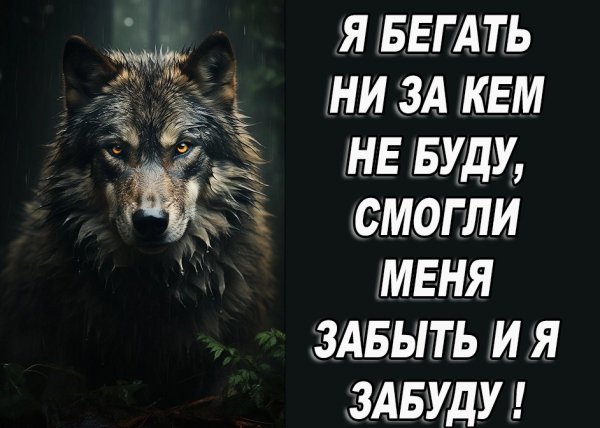 IMG 20251226 085316