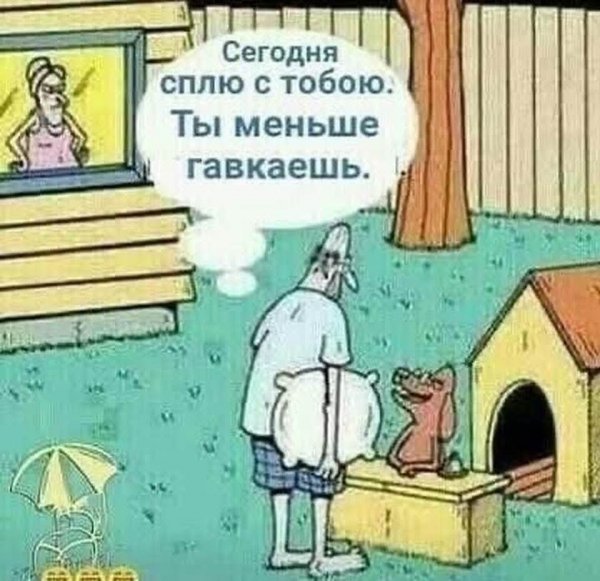 FB IMG 1778526046318