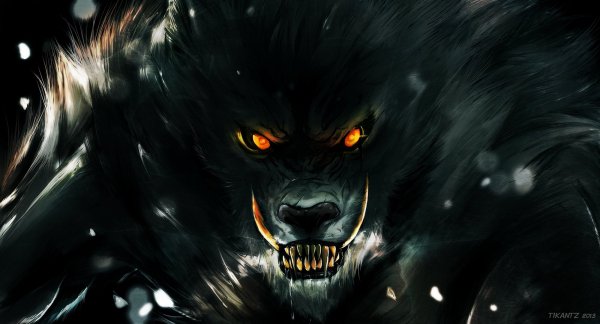 Image from wp-s.ru (1) (1)