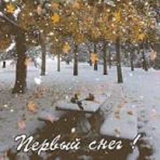 Первый снег!