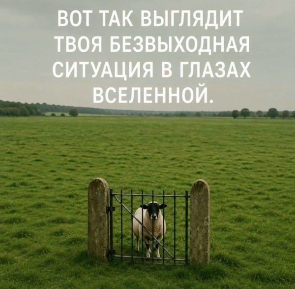 file_103352246