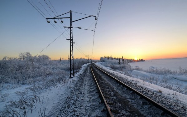 file_79142040