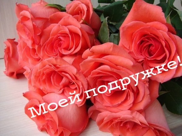 Uu2yJwsxnJc