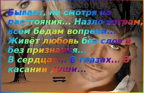 Живёт любовь