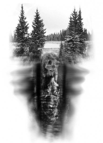 Bc3c9cace7e066d0e4a44cf32ccf3da7