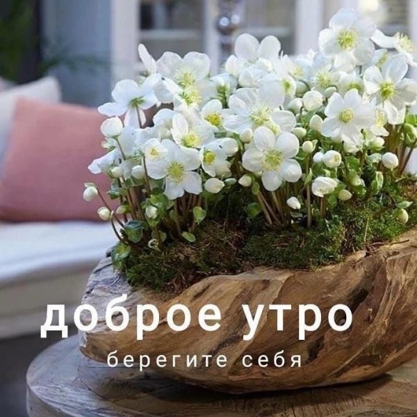 IMG 20260419 095841 646