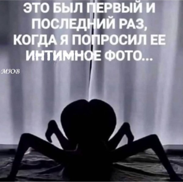 FB IMG 1778702668079