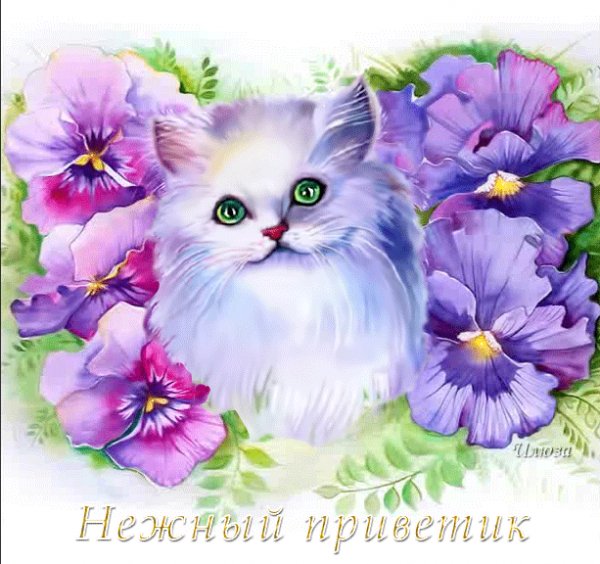file_74822725