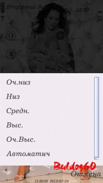 Brightness Switcher