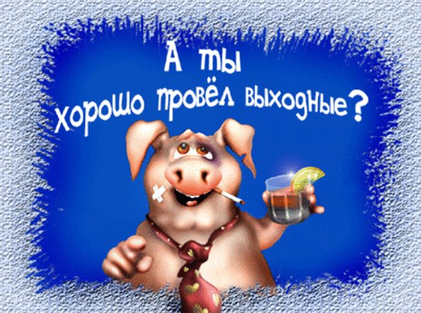 file_75497504