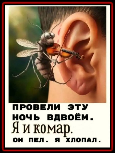 IMG viter59 204253