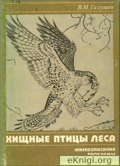 Галушин В. М. ХИЩНЫЕ ПТИЦЫ ЛЕСА