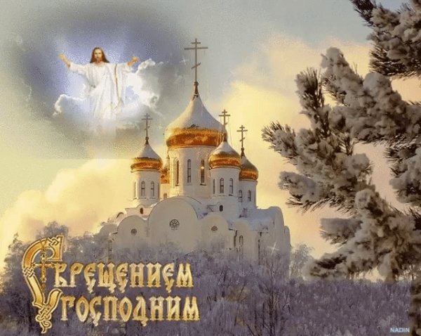 IMG 20190119 114947 0