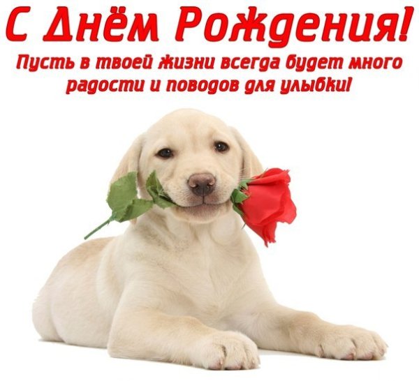 VqBfJncnSfg