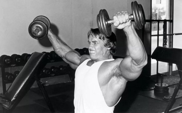 Arnie-ejercicio-2