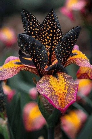 file_97369596