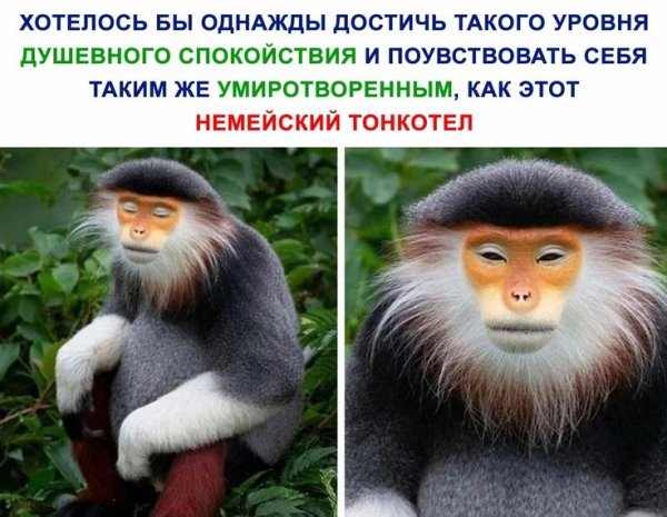 fc2f142aa80a75417af3a144e759