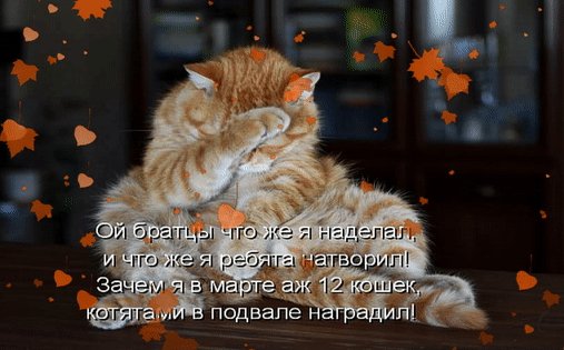file_74811690