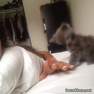gifs 10