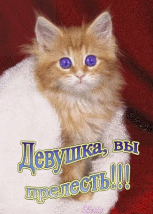 file_75177381