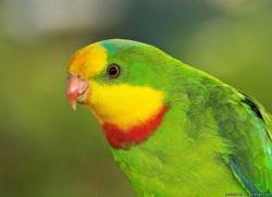 file_48017921