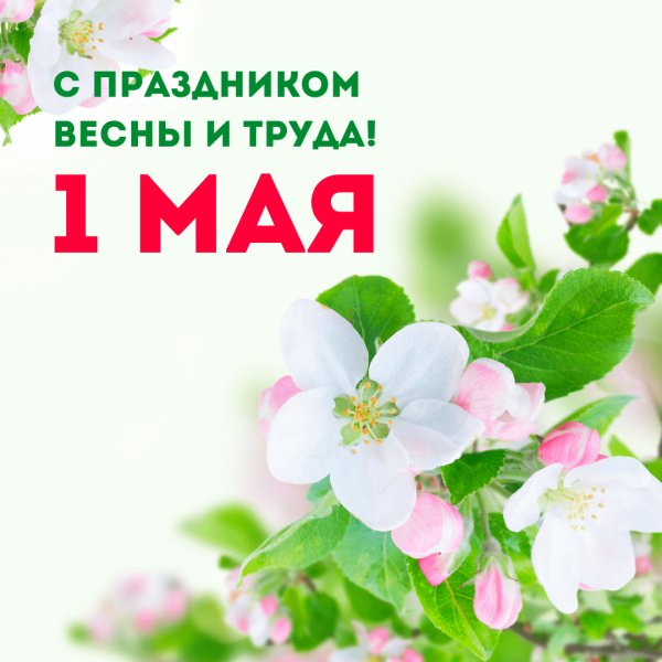 1 мая