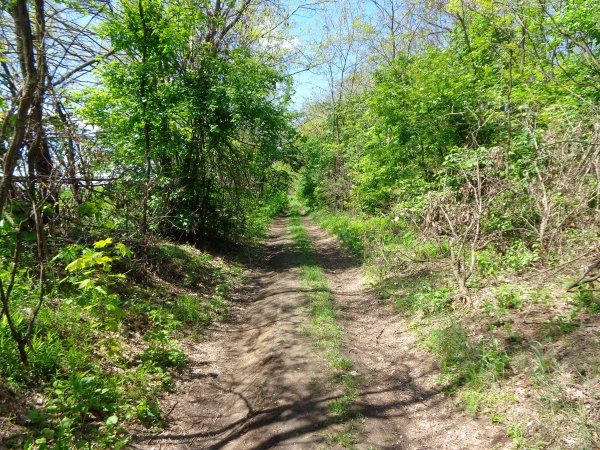 DSC04001