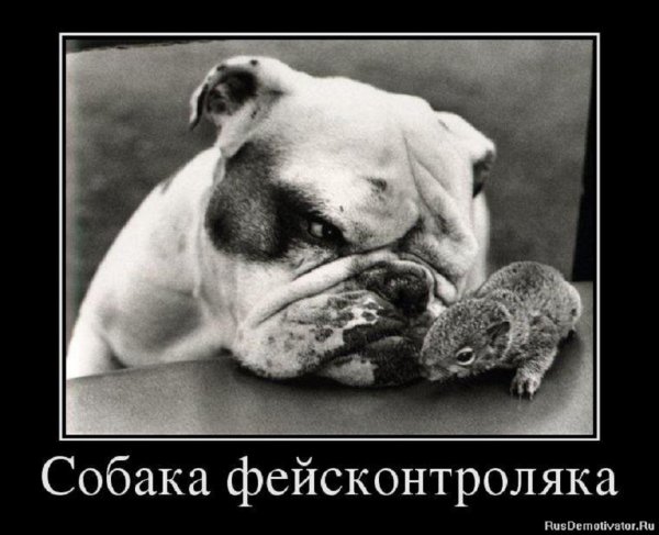 Собака