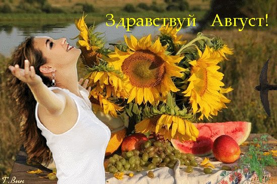 Анимированная открытка здравствуй август